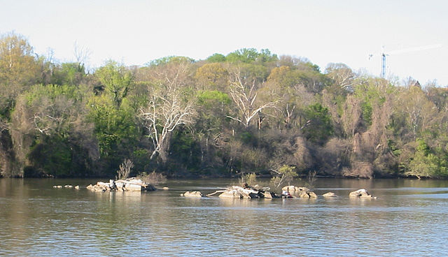 The Three Sisters islets in the Potomac River.  Photo from Wikipedia.